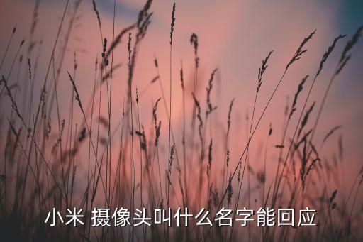 最小的攝像機(jī)器人,攝像機(jī)器人怎么畫