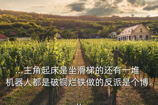 ...主角起床是坐滑梯的還有一堆 機(jī)器人都是破銅爛鐵做的反派是個博...