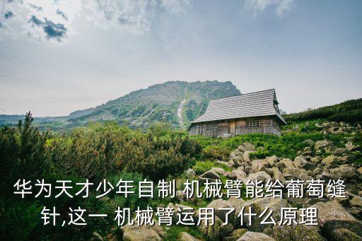 華為天才少年自制 機械臂能給葡萄縫針,這一 機械臂運用了什么原理