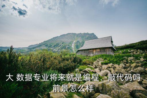 大 數(shù)據(jù)專業(yè)將來就是編程、敲代碼嗎前景怎么樣