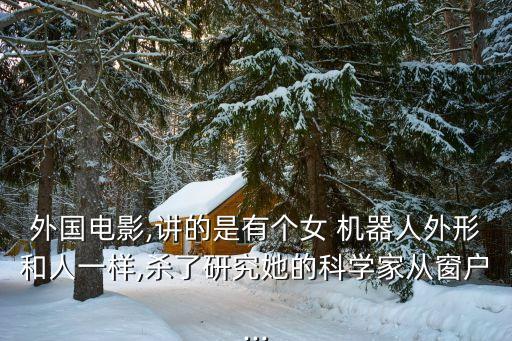 一個外國人買了個女機器人