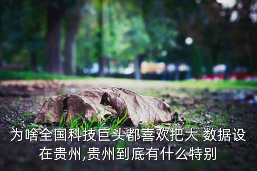 為啥全國科技巨頭都喜歡把大 數(shù)據(jù)設(shè)在貴州,貴州到底有什么特別