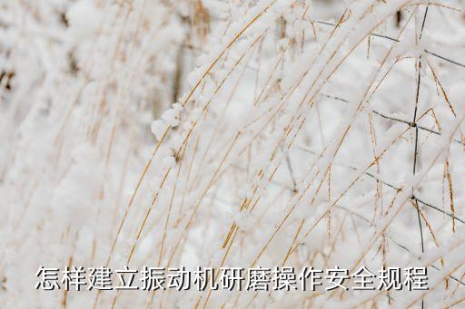 怎樣建立振動機研磨操作安全規(guī)程