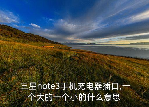  三星note3手機充電器插口,一個大的一個小的什么意思