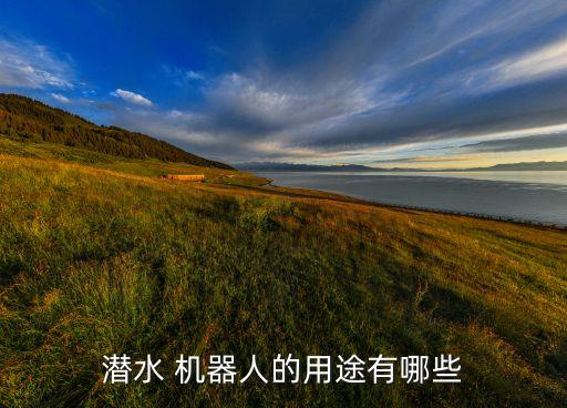 海上機器人技術,機器人技術基礎第三版答案