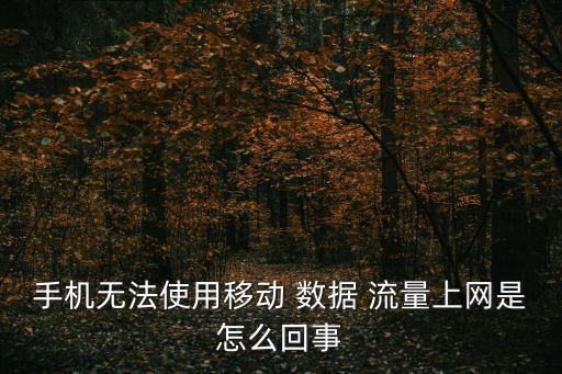 移動數(shù)據(jù)流量可以用么
