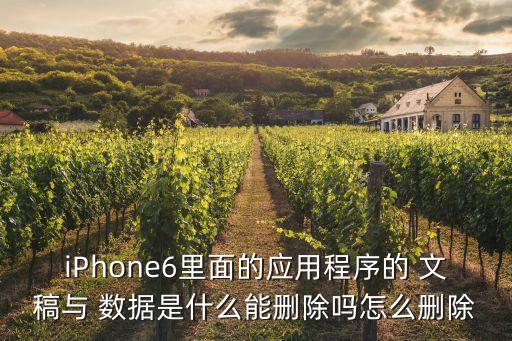 iPhone6里面的應(yīng)用程序的 文稿與 數(shù)據(jù)是什么能刪除嗎怎么刪除