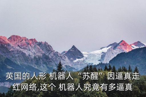 人親機器人,我的青少年機器人