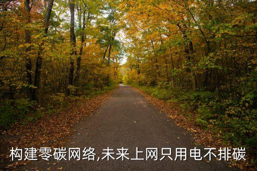 構(gòu)建零碳網(wǎng)絡(luò),未來上網(wǎng)只用電不排碳