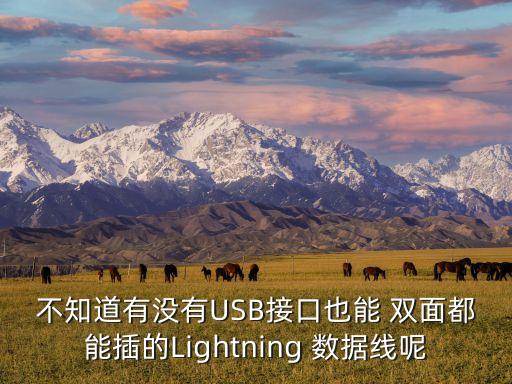 不知道有沒有USB接口也能 雙面都能插的Lightning 數(shù)據(jù)線呢