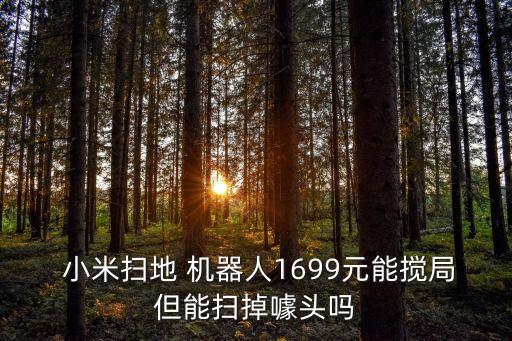  小米掃地 機(jī)器人1699元能攪局但能掃掉噱頭嗎