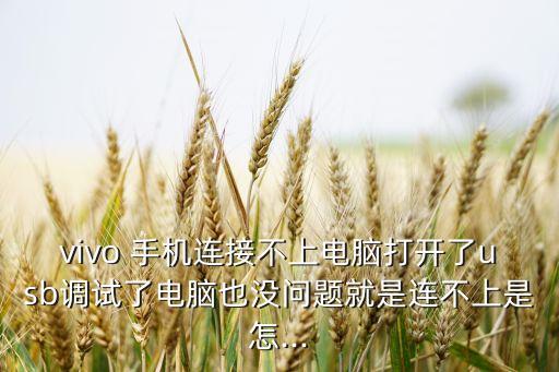 vivo 手機(jī)連接不上電腦打開了usb調(diào)試了電腦也沒問題就是連不上是怎...