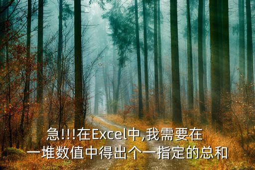 急!!!在Excel中,我需要在 一堆數(shù)值中得出個(gè)一指定的總和
