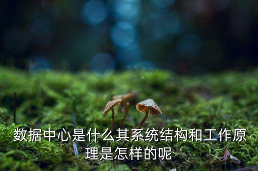 數(shù)據(jù)中心建設(shè)與管理...