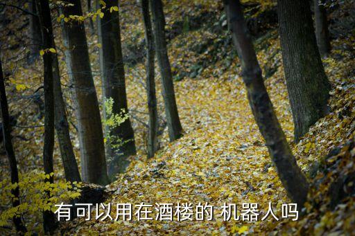 新開的機器人餐廳視頻,2022冬奧會機器人餐廳視頻