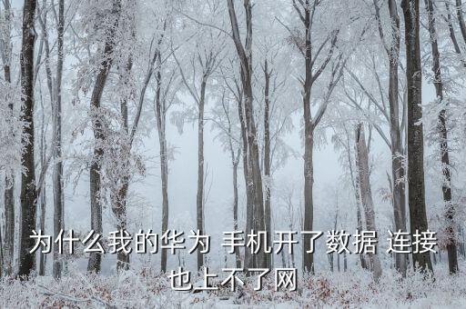 為什么我的華為 手機(jī)開了數(shù)據(jù) 連接也上不了網(wǎng)