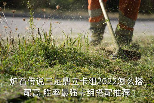 機(jī)器人勝率高,斗地主有機(jī)器人控制勝率