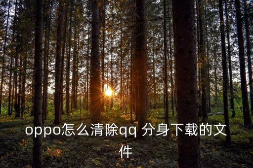 如何清理分身的數(shù)據(jù),qq如何清理其他數(shù)據(jù)
