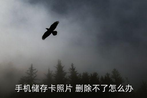  手機(jī)儲(chǔ)存卡照片 刪除不了怎么辦