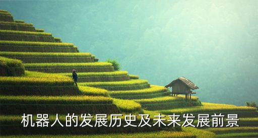 機器人變化,養(yǎng)老機器人