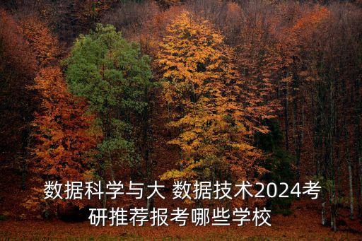  數(shù)據(jù)科學(xué)與大 數(shù)據(jù)技術(shù)2024考研推薦報(bào)考哪些學(xué)校