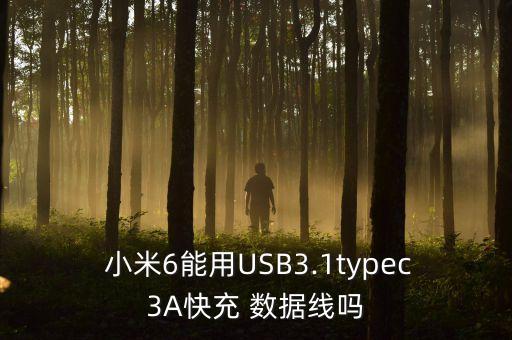  小米6能用USB3.1typec3A快充 數(shù)據(jù)線嗎