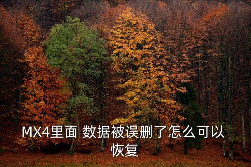 MX4里面 數(shù)據(jù)被誤刪了怎么可以 恢復(fù)