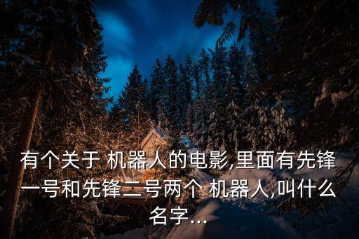 有個關(guān)于 機(jī)器人的電影,里面有先鋒一號和先鋒二號兩個 機(jī)器人,叫什么名字...
