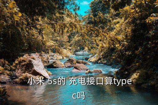  小米 5s的 充電接口算typec嗎