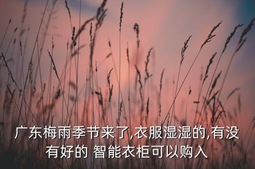廣東梅雨季節(jié)來了,衣服濕濕的,有沒有好的 智能衣柜可以購入