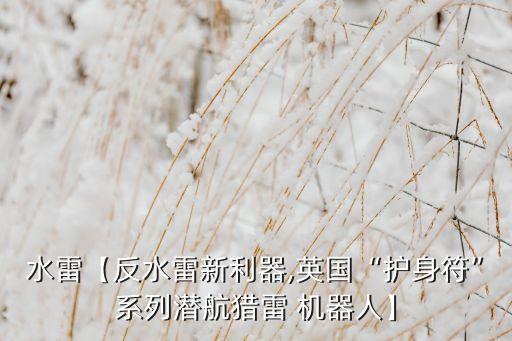 水雷【反水雷新利器,英國“護(hù)身符”系列潛航獵雷 機(jī)器人】