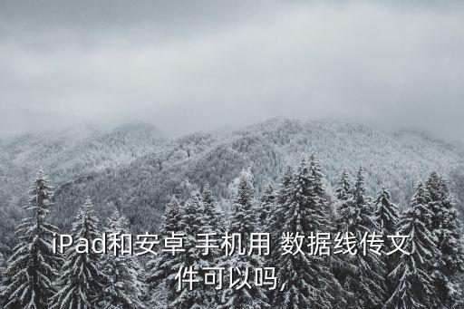iPad和安卓 手機(jī)用 數(shù)據(jù)線傳文件可以嗎,