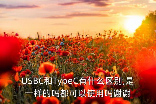 USBC和TypeC有什么區(qū)別,是一樣的嗎都可以使用嗎謝謝