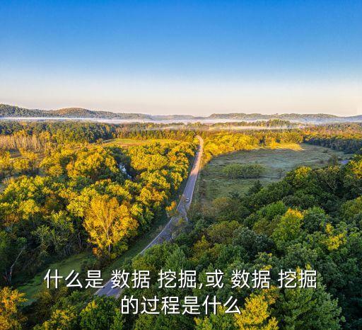 什么是 數(shù)據(jù) 挖掘,或 數(shù)據(jù) 挖掘的過(guò)程是什么