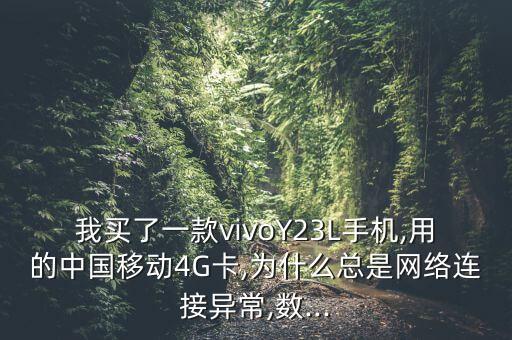 vivoy23l的數(shù)據(jù)怎么開了耍不起