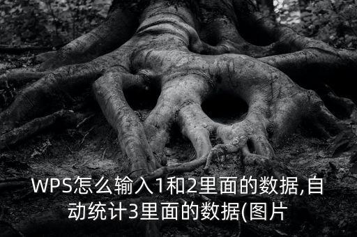 WPS怎么輸入1和2里面的數(shù)據(jù),自動(dòng)統(tǒng)計(jì)3里面的數(shù)據(jù)(圖片