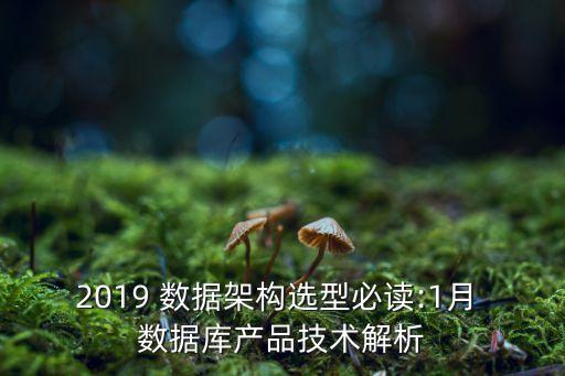 2019 數(shù)據(jù)架構選型必讀:1月 數(shù)據(jù)庫產品技術解析