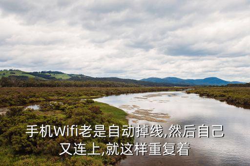 手機(jī)Wifi老是自動掉線,然后自己又連上,就這樣重復(fù)著