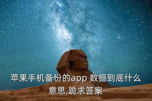 蘋果手機備份的app 數(shù)據(jù)到底什么意思,跪求答案