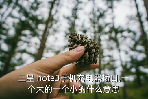 三星 note3手機(jī)充電器插口,一個(gè)大的一個(gè)小的什么意思