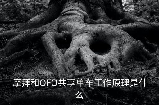  摩拜和OFO共享單車工作原理是什么