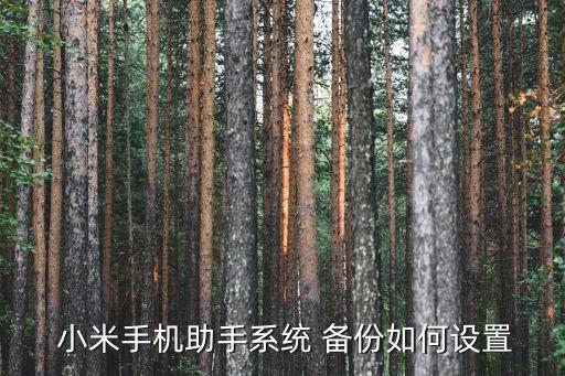 小米機(jī)如何備份數(shù)據(jù),小米recovery模式備份數(shù)據(jù)