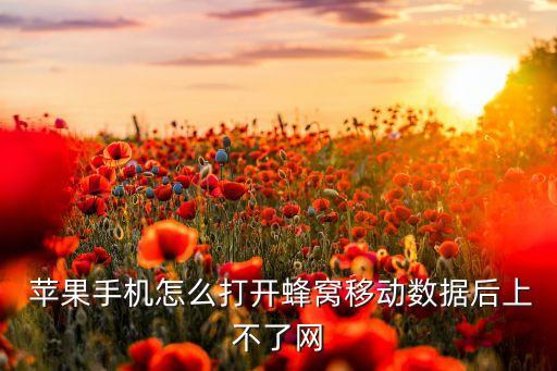  蘋果手機(jī)怎么打開蜂窩移動(dòng)數(shù)據(jù)后上不了網(wǎng)
