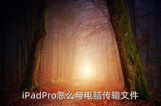 iPadPro怎么與電腦傳輸文件