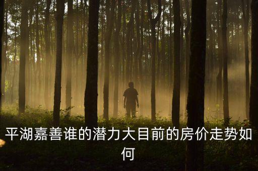 平湖嘉善誰的潛力大目前的房價(jià)走勢如何