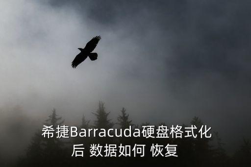  希捷Barracuda硬盤格式化后 數(shù)據(jù)如何 恢復(fù)