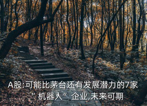 A股:可能比茅臺(tái)還有發(fā)展?jié)摿Φ?家“ 機(jī)器人”企業(yè),未來(lái)可期