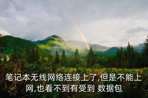 筆記本無(wú)線網(wǎng)絡(luò)連接上了,但是不能上網(wǎng),也看不到有受到 數(shù)據(jù)包