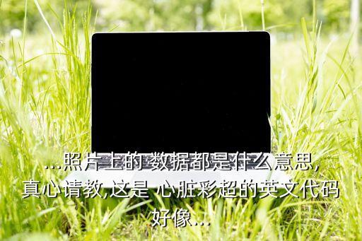 ...照片上的 數(shù)據(jù)都是什么意思,真心請教,這是 心臟彩超的英文代碼好像...