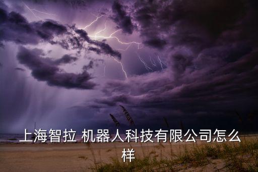  上海智拉 機(jī)器人科技有限公司怎么樣